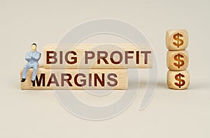 On the blocks with the inscription - Big Profit Margins, the figure of a businessman sits, next to the cubes