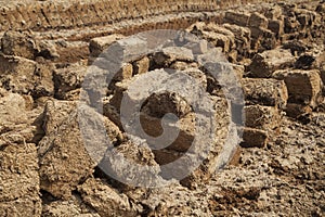 Blocks at peat field