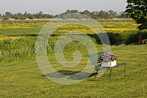 Bloemenveld, Field of flowers