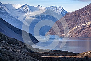 Blomsterbugten - Franz Joseph Fjord - Greenland