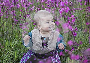 Blond baby in a colored dress sits in a field with purple flowers