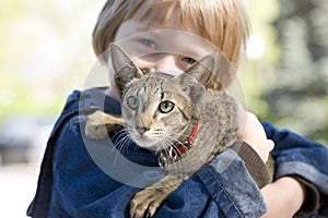 Blond boy with oriental bred cat
