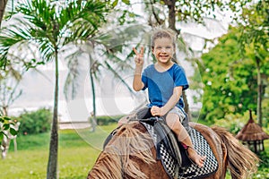 Blond boy riding horse in hotel park on the beach. Sunny summer day happy childhood