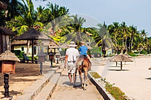 Blond boy riding horse in hotel park on the beach. Sunny summer day happy childhood