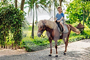 Blond boy riding horse in hotel park on the beach. Sunny summer day happy childhood