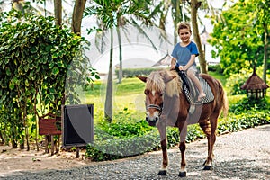 Blond boy riding horse in hotel park on the beach. Sunny summer day happy childhood