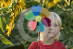 Blond boy walks in sunflower field and holds windmill toy in his hands