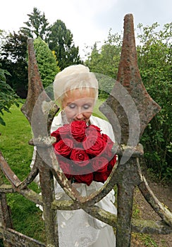 Happy bride breathes the scent of red roses behind the old castle fence photo