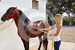 Blond girl cleaning brown horse with hose water