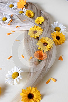 Blond hair with chamomile and calendula flowers.