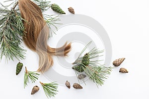 Blond hair with pine needles and cones. Hair care concept.