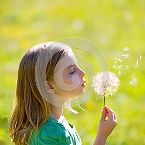 Blond kid girl blowing dandelion flower in green meadow