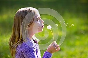 Blond kid girl blowing dandelion flower in green meadow