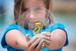 Blond kid girl showing a beach plant with sand in hands