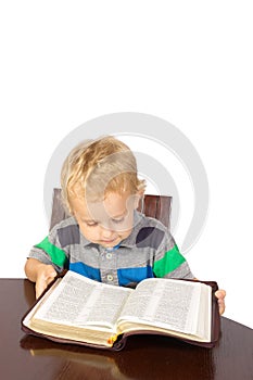Blond little boy reading the bible