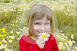 Blond little girl smeling daisy spring flower