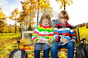 Blond twins afterschool in the park