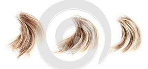 Blond wavy lock of hair set on white background isolated closeup, cut off natural blonde hair curl, haircut, hairstyle, human hair