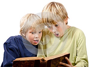 Blonde brothers reading