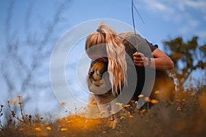 Blonde girl playing with puppy spanish mastiff in a field of yellow flowers