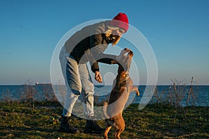 A blonde girl with a purebred dog from the shelter. Playing with a dog on the seashore. Friendship of a dog and a person