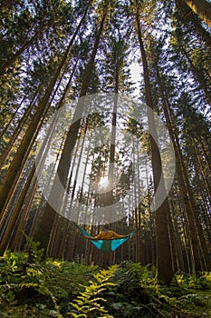 Blonde girl relaxing in blue hammock into the forest Beautiful destination form Germany for relaxing and spending quality time in