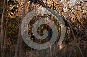 Blonde girl in the wild autumn forest