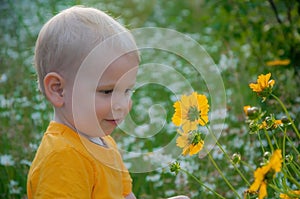 The blonde little boy costs in a dense high grass where camomiles grow