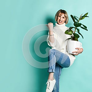 Blonde model in white sweater, jeans and sneakers. She smiling, showing yes sign, holding green ficus, posing on blue background