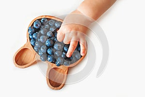 Blonde toddler boy eating Yummy blueberries on highchair close-up and copy space