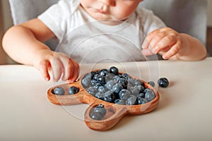 Blonde toddler boy eating Yummy blueberries on highchair close-up and copy space