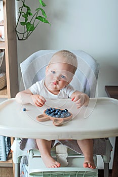 Blonde toddler boy eating Yummy blueberries with wooden plates on highchair close-up and copy space