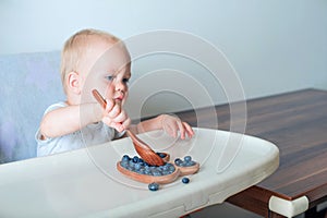 Blonde toddler boy eating Yummy blueberries wooden spoon on highchair close-up and copy space