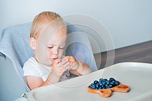 Blonde toddler boy eating Yummy blueberries wooden spoon on highchair close-up and copy space