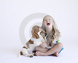 Blonde toddler playing on the white background in the studio with two basset hound puppies