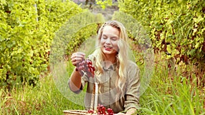 Blonde winegrower handing a red grape