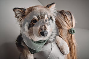 A blonde woman cuddling a Finnish Lapphund dog