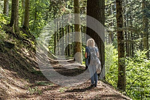 A blonde woman goes trekking inside the Acquerino Cantagallo nature reserve, between the provinces of Pistoia and Prato, Italy