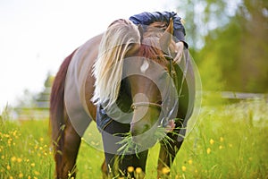 Blonde woman standing in a meadow hugging her arabian horse