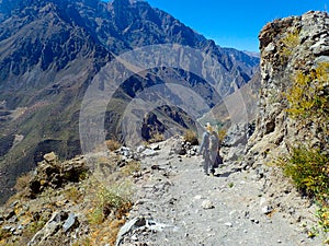 Blonde woman traveler walks along the Colca Canyon in Chivay, Peru, South America. Condors can be seen flying among the mountains