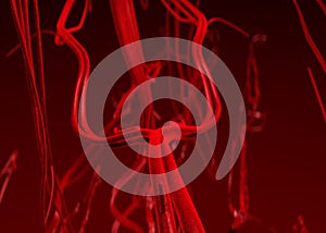Blood arteries