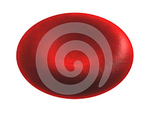 Blood Cell photo