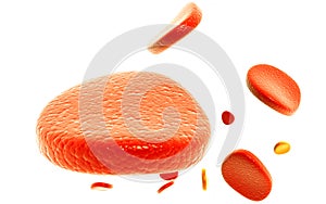 Blood cell