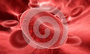 Blood cell in focus