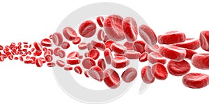 Blood cells