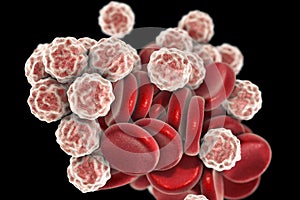 Blood cells, 3D illustration