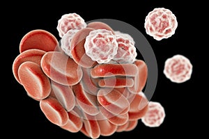 Blood cells, 3D illustration