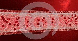 Blood cells. 3d render illustration