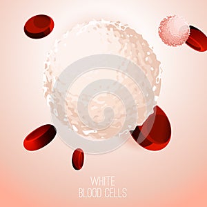 Blood Cells Background