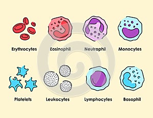 Blood cells color icons set. White blood cells, erythrocytes, platelets